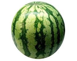 Water Melon