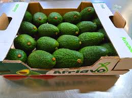 Fresh avocado pack